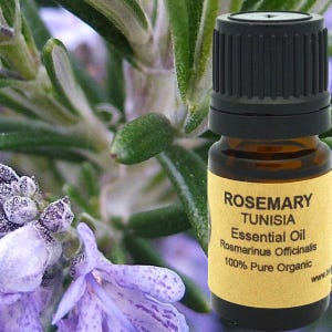 Rosemary Essential Oil (Organic) 5 ml, 10 ml or 15 ml
