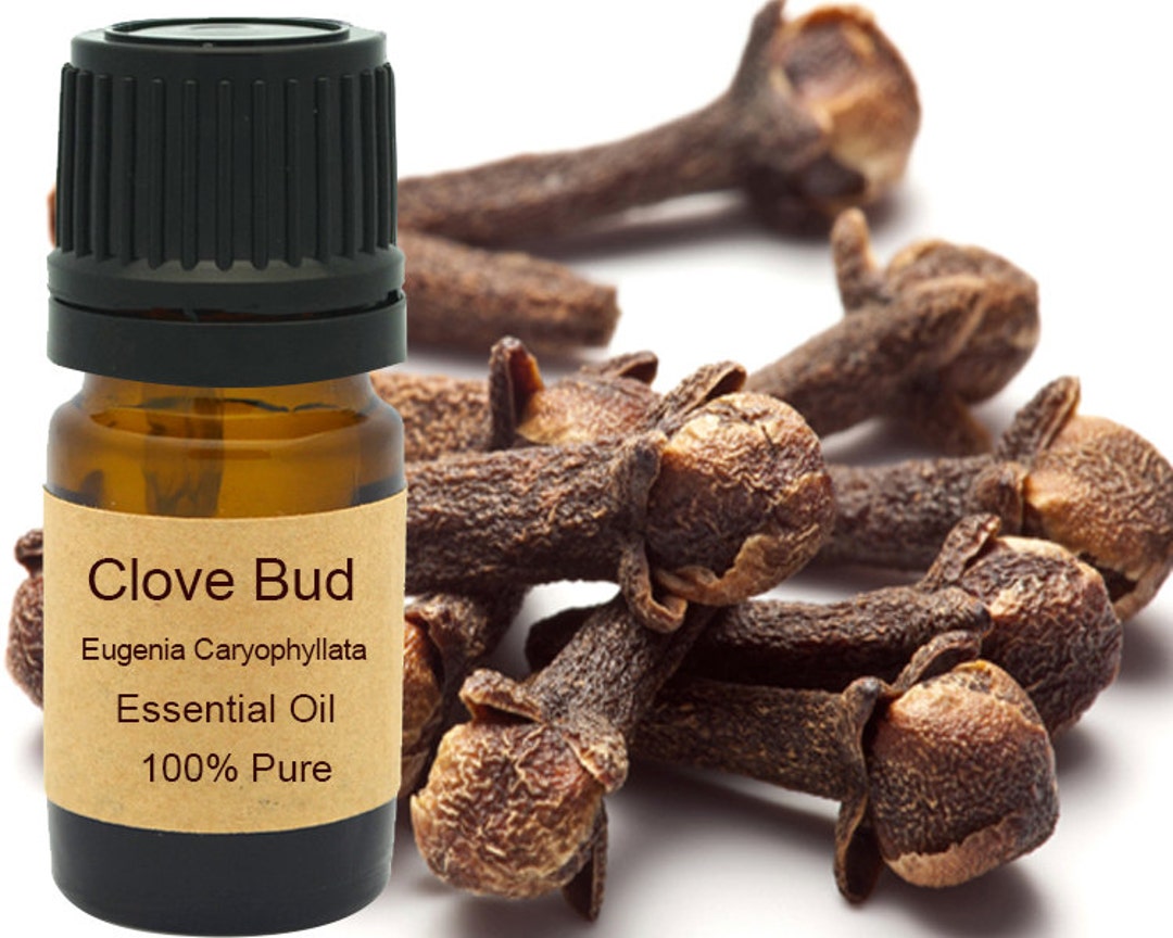 Clove Bud Essential Oil 5 Ml, 10 Ml or 15 Ml Etsy