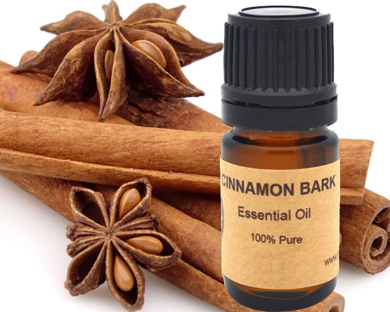 Cinnamon Bark Essential Oil 5ml, 10 ml or 15 ml image 1