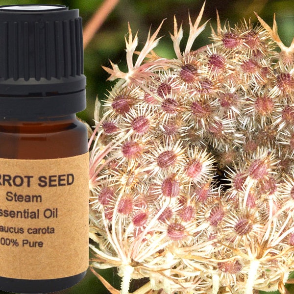 Carrot Seed Essential Oil 5 ml, 10 ml or 15 ml