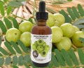 Amla Fruit Oil strengthens hair, reduce premature pigment loss from hair, or greying, stimulate hair growth, reduce hair loss, dandruff ... product logo