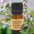 Clary Sage Essential Oil: Steam Distilled Salvia Sclarea 0.5oz / 15ml product logo