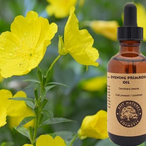 EVENING PRIMROSE oil - Organic, Cold pressed, unrefined.