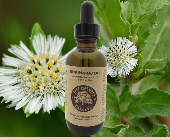 Bhringraj Oil for Hair Loss and Scalp Problems as It Aids the - Etsy Australia Bhringraj Oil for Hair Loss and Scalp Problems as It Aids the - Etsy Australia