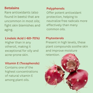 Organisk fikonkaktusfröolja – kallpressat anti-aging ansiktsserum bild 8