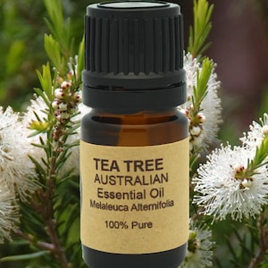 Huile essentielle d&#39;arbre à thé australienne (AAA) 5 ml, 10 ml ou 15 ml