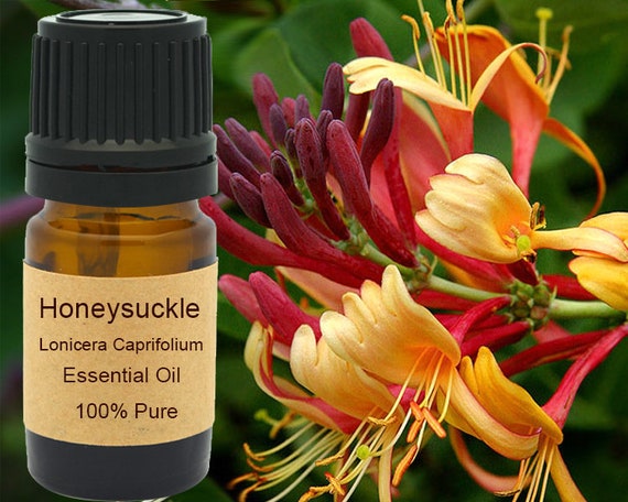 Honeysuckle Essential Oil 5 ml, 10 ml or 15 ml