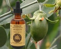 100% Pure Organic Virgin Jojoba Oil. Natural Moisturizer for skin and hair. product logo