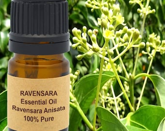 Ravensara Anisata Essential Oil 5 ml, 10 ml or 15 ml