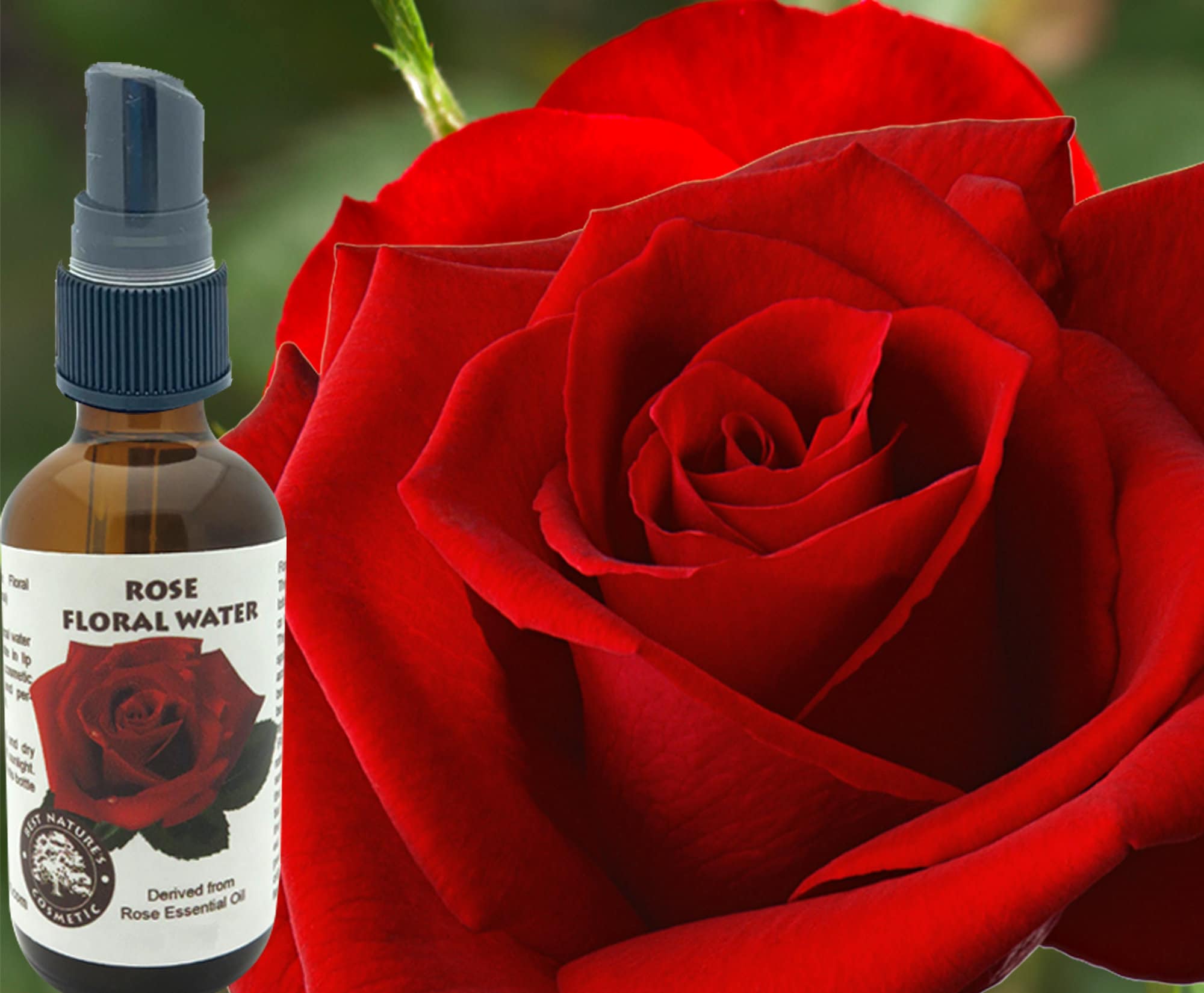 Rose Floral Water hydroflorate or Hydrosol for Use in Etsy UK