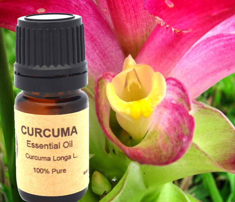 Turmeric Curcuma Essential Oil 5ml 10ml or 15 Ml Etsy