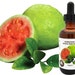 see more listings in the Natural Plant Oils Pure section