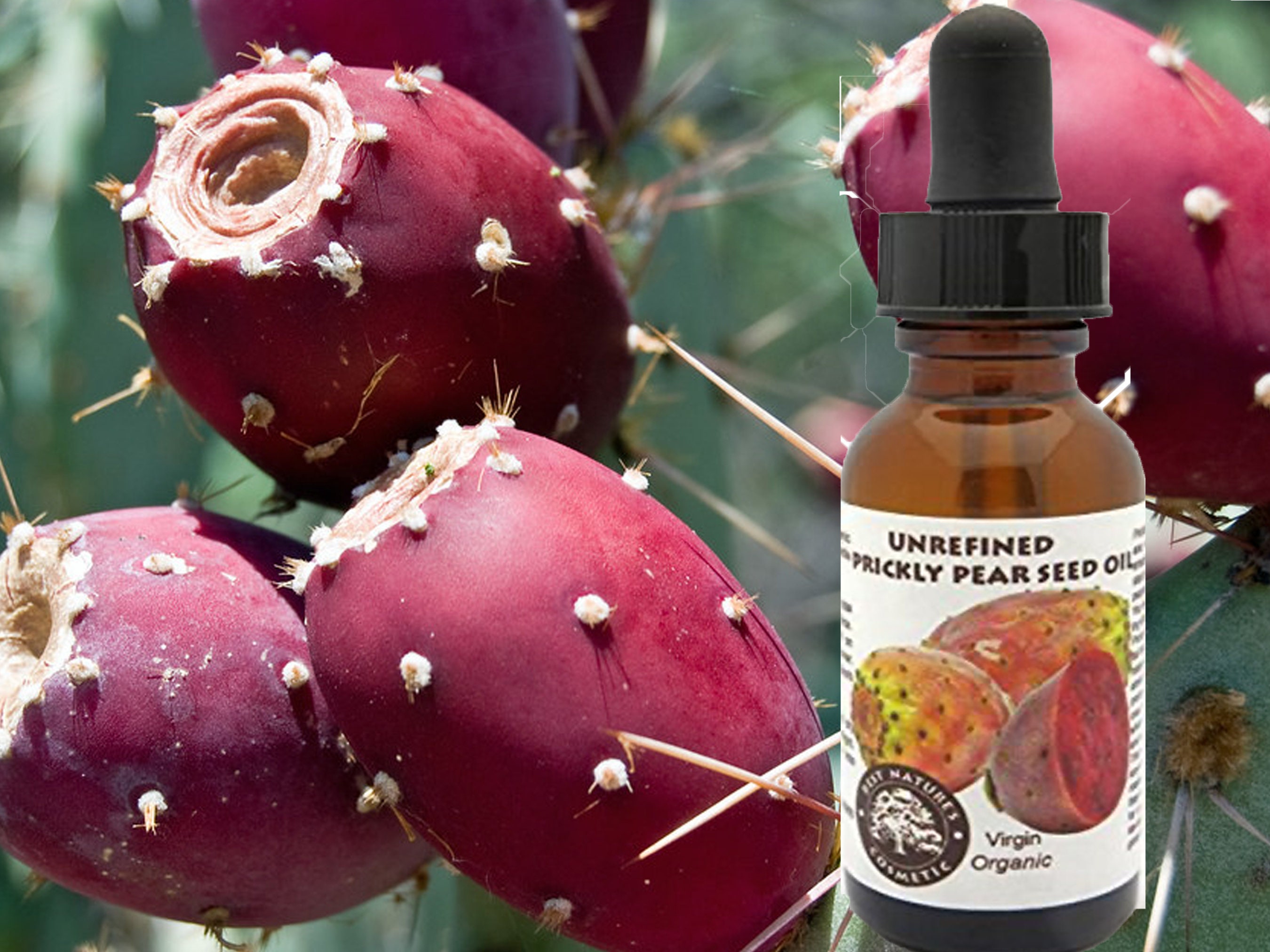 Prickly Pear Seed Oil, Organic, Cold Pressed, and Unrefined