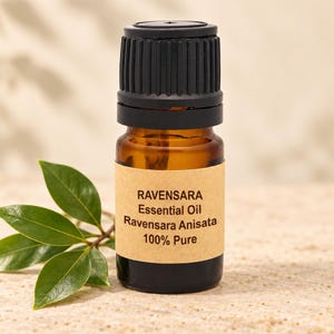 Ravensara Anisata Essential Oil: Camphorous Woody Aroma 0.5oz / 15ml