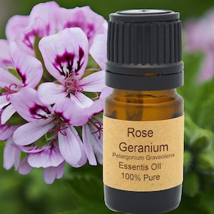 Pode incluir: Um pequeno frasco de vidro castanho com uma tampa preta, etiquetado "Rose Geranium Pelargonium Graveolens Essentis Oil 100% Pure". O frasco está em frente a uma flor rosa.
