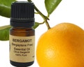 Bergamot Essential Oil (Bergaptene Free) 0.5oz / 15ml product logo