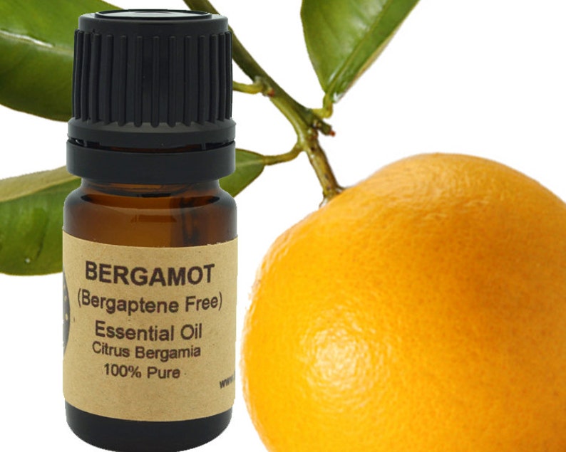 Bergamot Essential Oil Bergaptene Free 5 ml 10 ml or 15 ml image 1
