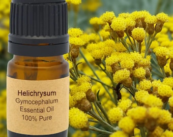 Helichrysum Gymocephalum Ätherisches Öl: Dampfdestilliert, Madagaskar 15ml