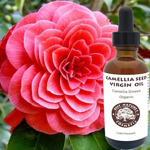 Camellia Seed Oil (Organic, Cold Pressed) for silky, smooth skin and hairs