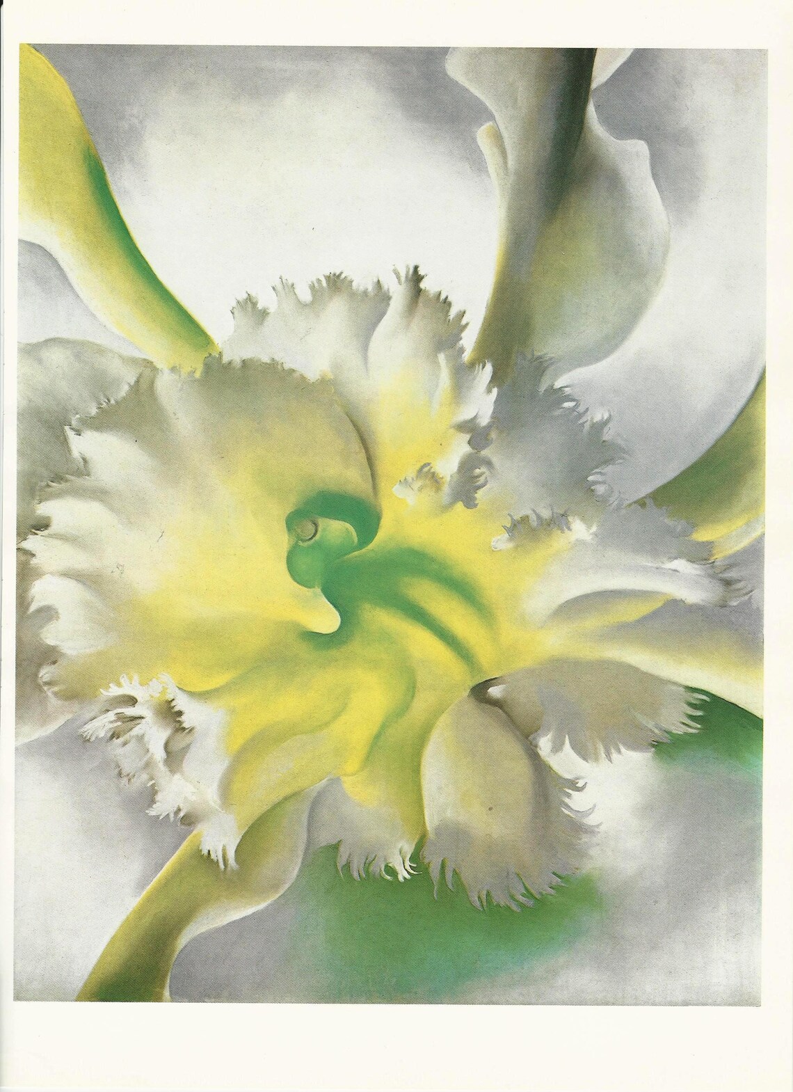 O'Keeffe original print An Orchid Etsy