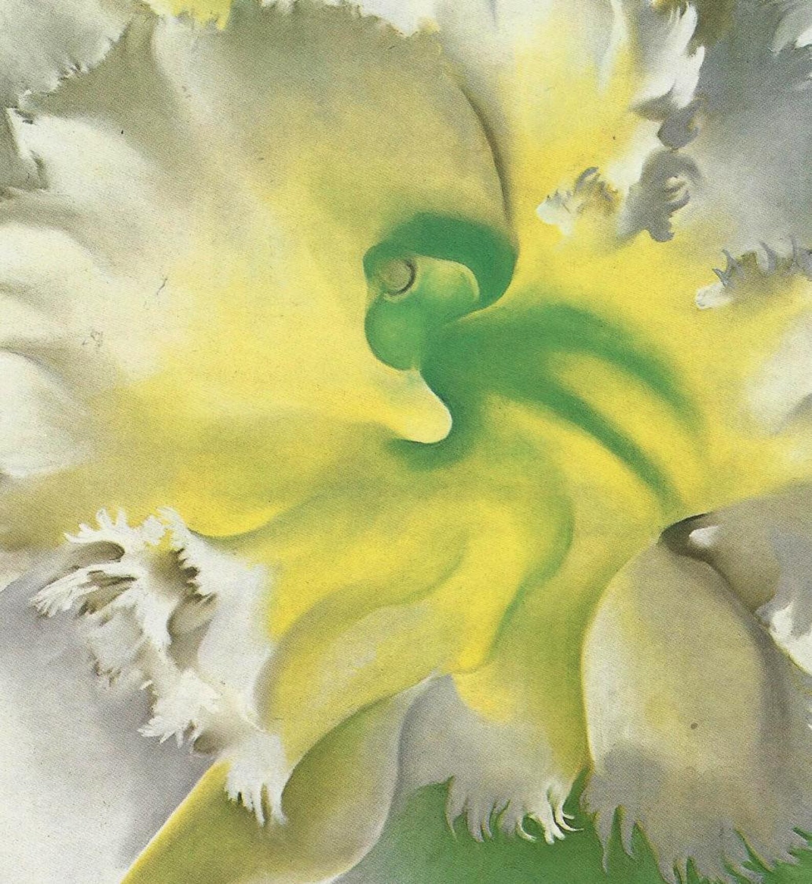 Georgia O'Keeffe original print An Orchid | Etsy