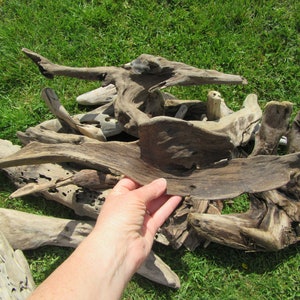 20 Assorted Beautiful Pieces of Driftwood 5 to 20 inches