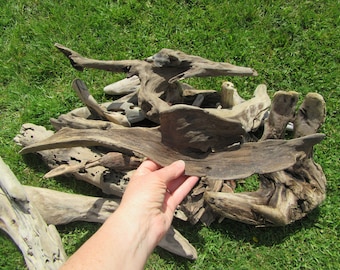 20 Assorted Beautiful Pieces of Driftwood 5 to 20 inches