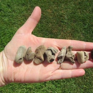 Assorted Driftwood 10 PIECES 1 inch and under Beautiful Driftwood 1&quot; and under for driftwood JEWELRY, can be used for driftwood necklaces