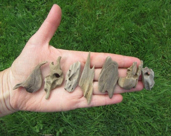 10 Assorted Beautiful Pieces of Driftwood 1" to 3 inches for driftwood JEWELRY, or can be used for driftwood necklaces or terrariums