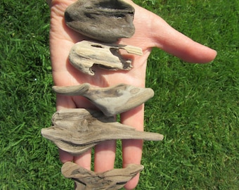 10 Assorted Beautiful Pieces of Driftwood average 2 to 4 inches for Terrariums