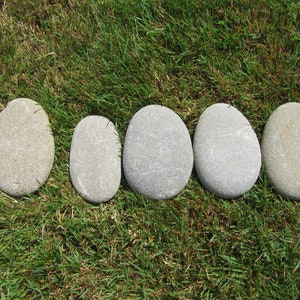May include: Five smooth, oval-shaped stones in varying shades of gray and tan are arranged on green grass. A ruler is placed next to the first stone, providing a size reference. The stones appear natural and weathered.