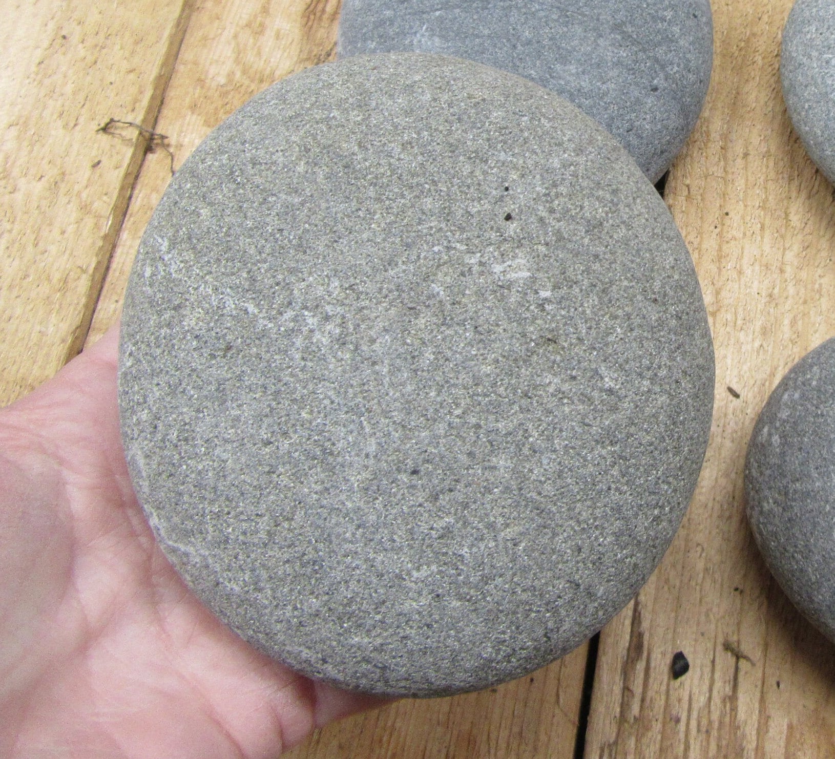 4 Flat Round Rocks 4 to 6 Inches. Lot of 4 Rocks, Beach Rocks for ...