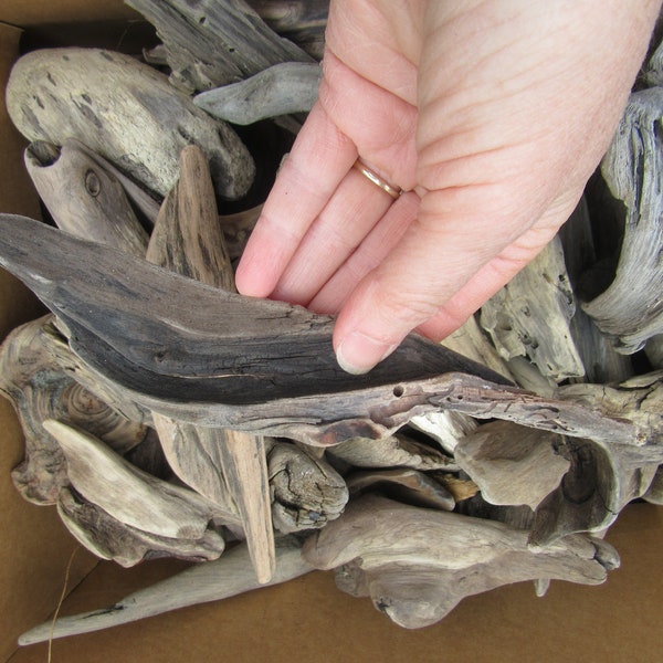 Driftwood 50 Beautiful Pieces 5 inches and under Bulk