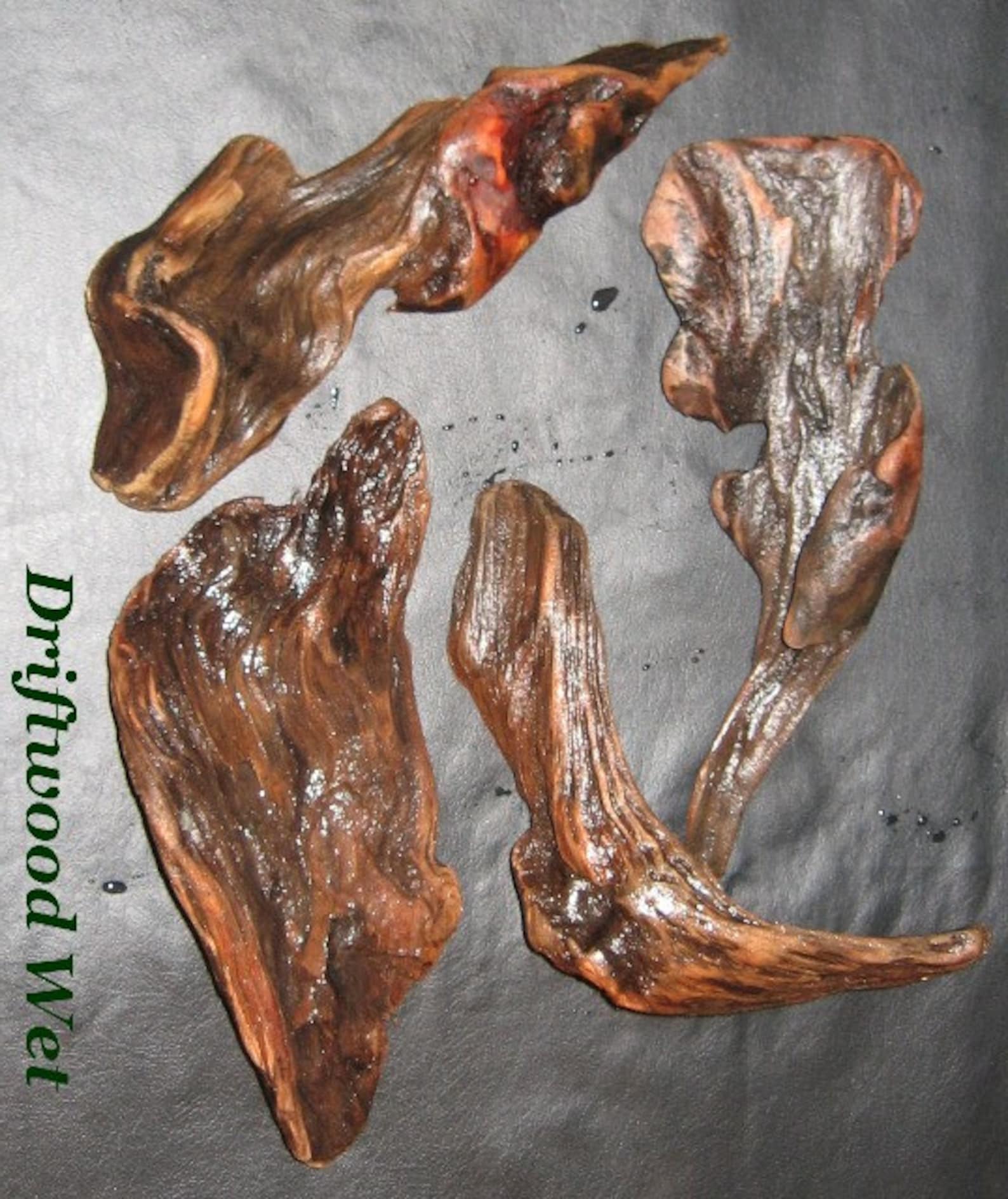 Driftwood 50 Beautiful Pieces 5 Inches and Under Bulk - Etsy