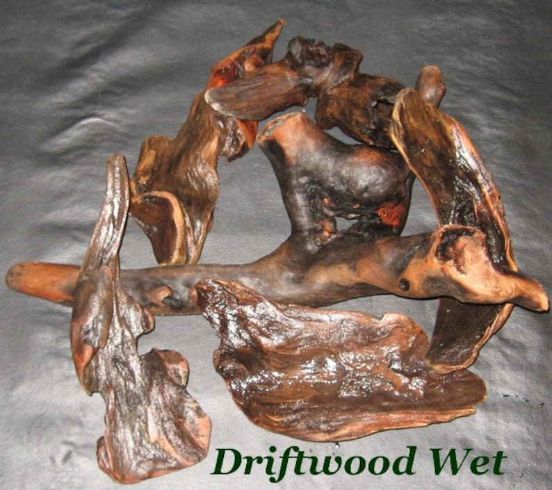 20 Assorted Beautiful Pieces of Driftwood image 3