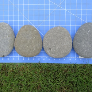 4 Assorted Shaped Beach Rocks 4-to-6-inch beach rocks for painting. Large flat Stones, Craft Stones, Painting Stones, Stones for Painting