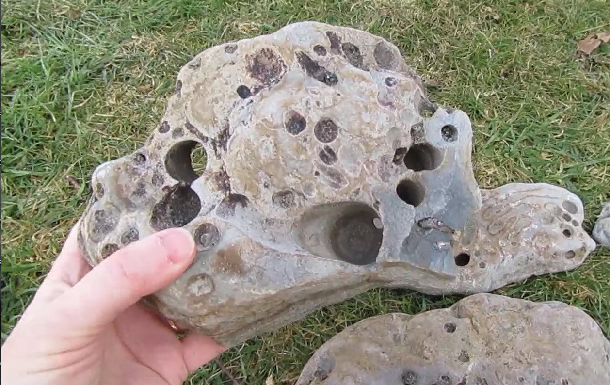 Holey Rock, 4 to 6 Inches 2 Pieces, Beach Rocks With Holes, Holy Rocks ...