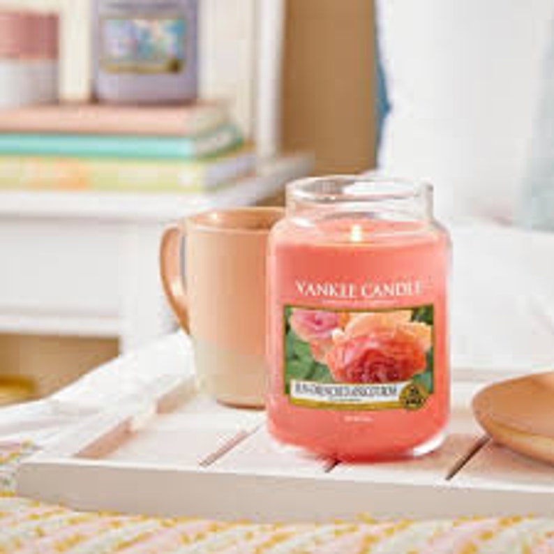 Yankee Candle Sun Drenched Apricot Rose Small Jar FREE P/&P