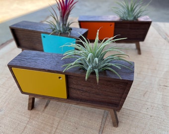 Midcentury Credenza Air Plant by Pleasant Ranch