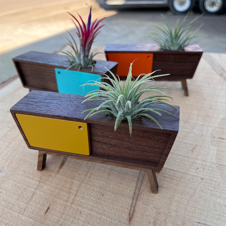 Midcentury Credenza Air Plant by Pleasant Ranch image 1