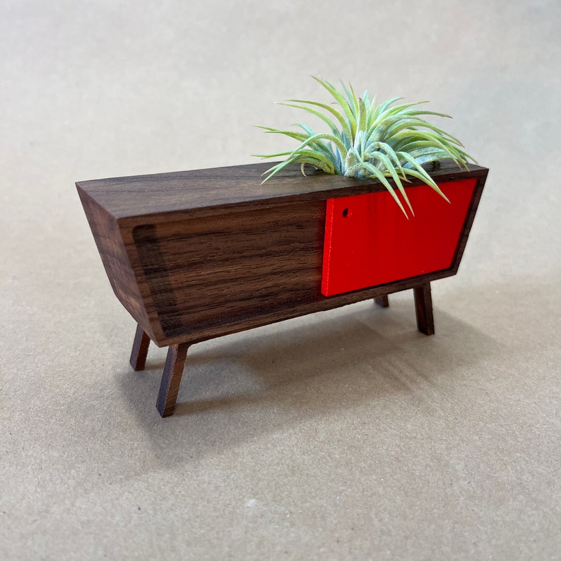 Midcentury Credenza Air Plant by Pleasant Ranch image 3
