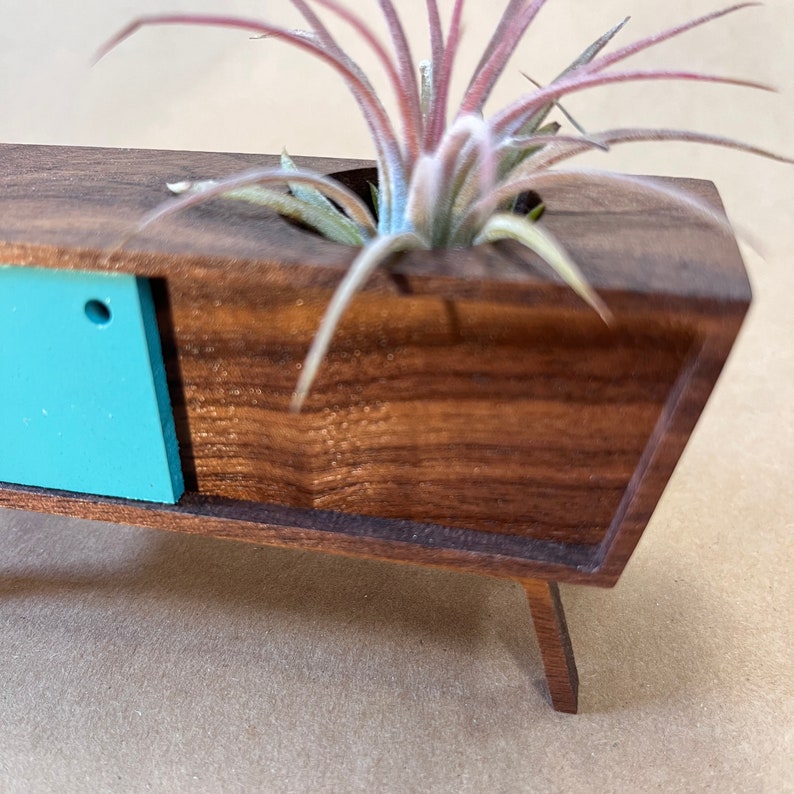Midcentury Credenza Air Plant by Pleasant Ranch image 6