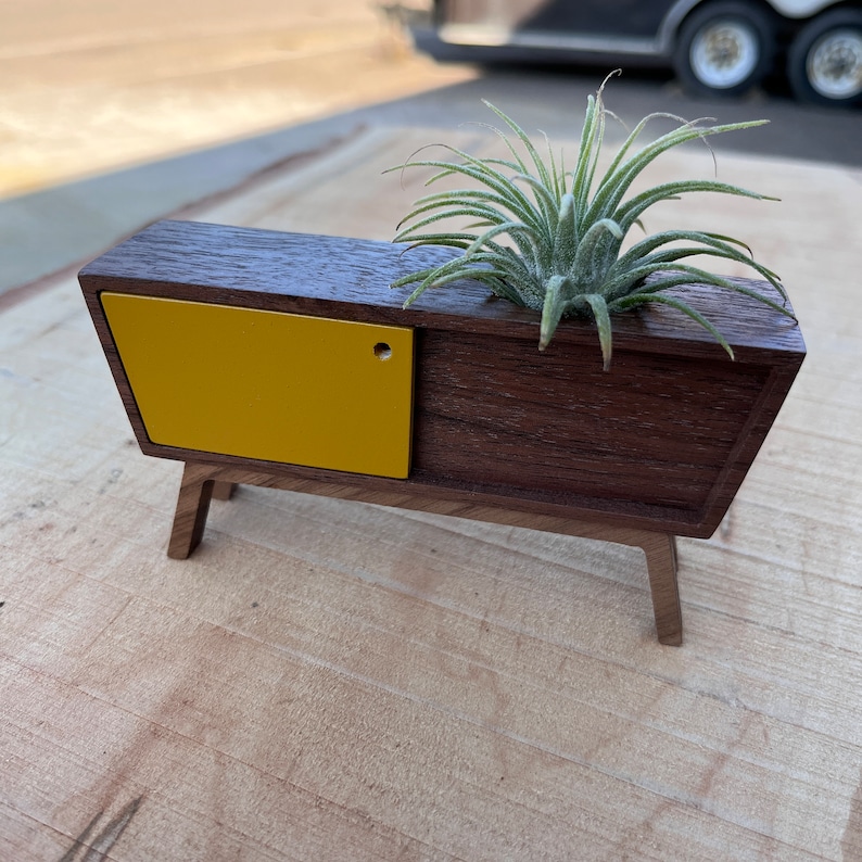 Midcentury Credenza Air Plant by Pleasant Ranch image 9