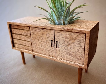 Danish Modern Sideboard Air Plant by Pleasant Ranch