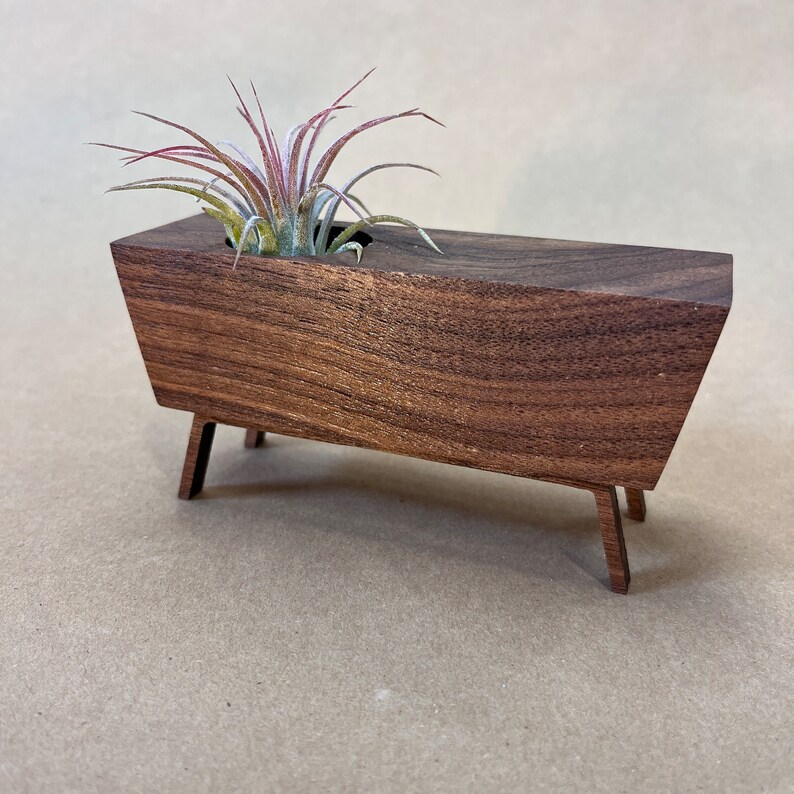 Midcentury Credenza Air Plant by Pleasant Ranch image 7