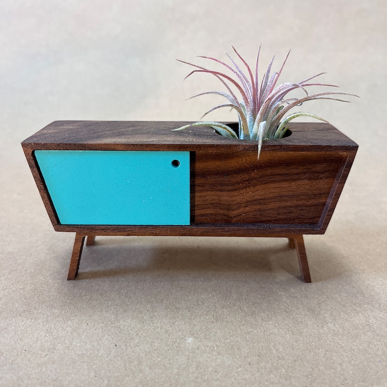 Midcentury Credenza Air Plant by Pleasant Ranch image 5