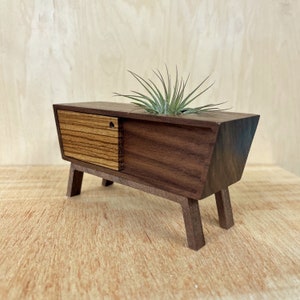 Midcentury Credenza Air Plant by Pleasant Ranch image 10