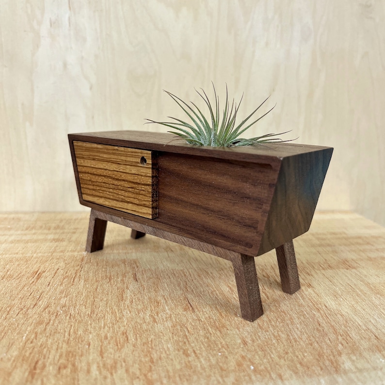 Midcentury Credenza Air Plant by Pleasant Ranch image 10