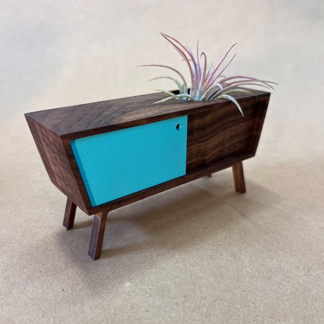 Midcentury Credenza Air Plant by Pleasant Ranch Etsy