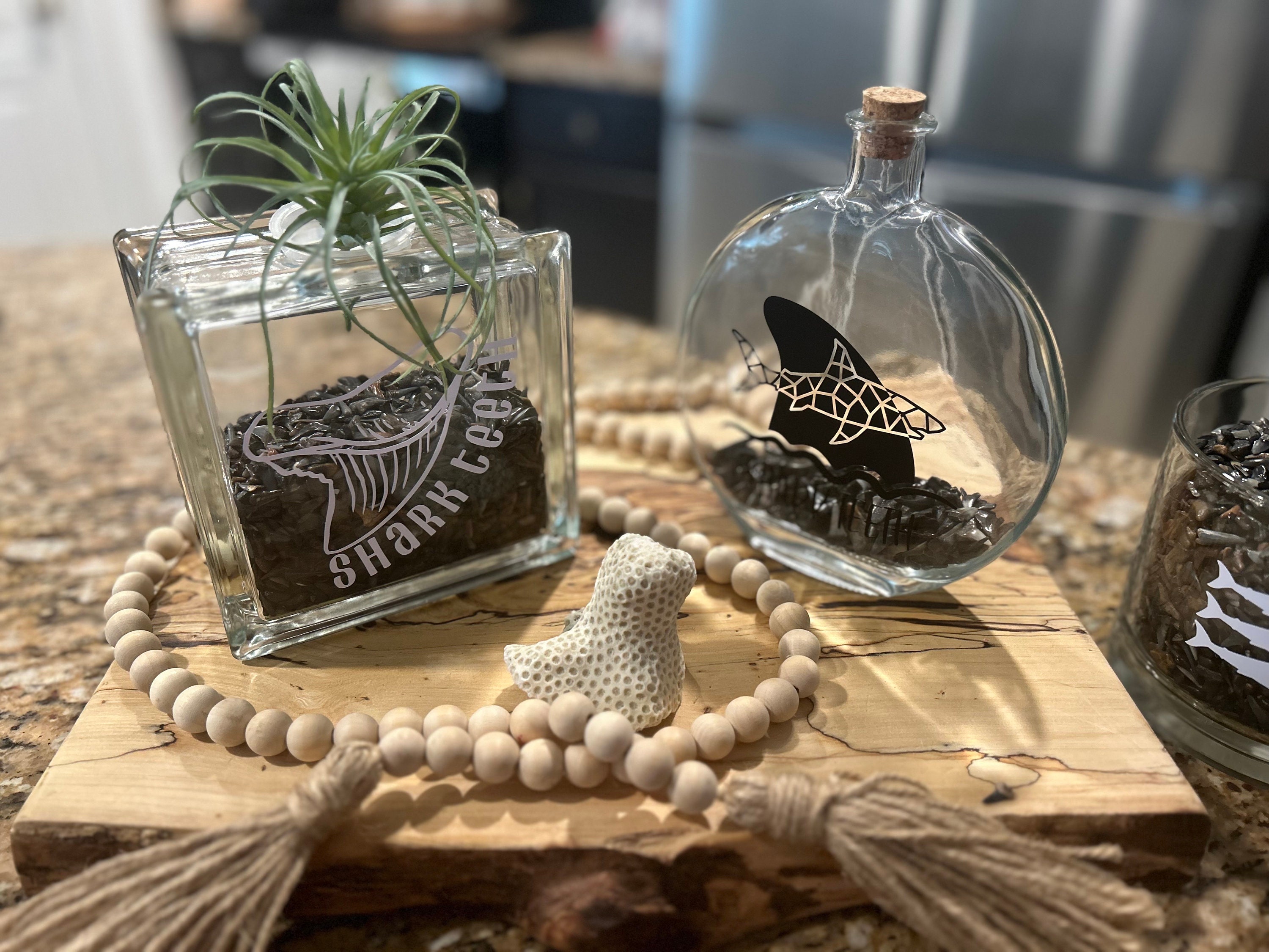 Teeth In Jar Shark Teeth Jar - Etsy